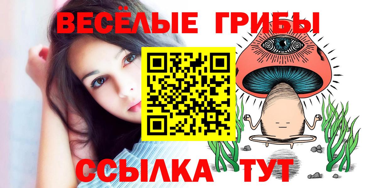 Псилоцибиновые грибы Psilocybine cubensis  Галлюциногенные грибы мицелий  Кропоткин  Вход с VPN 